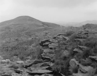 Bieszczady. Fot. Andrzej Ginalski