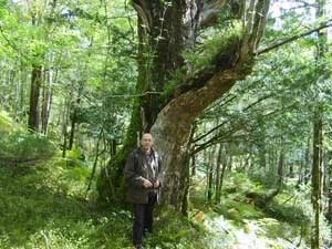 Norwegia, niedaleko Bergen. Fot. Piotr Skubała