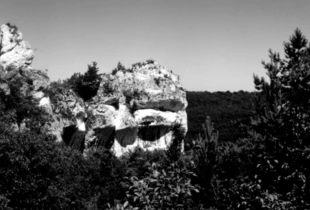 Krajobraz jurajski. Fot. Janusz Rubisz