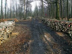 Spomiędzy stosów nomen omen majaczy tablica „Rezerwat przyrody Segiet”. Fot. Maria Kukowka