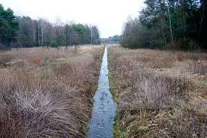 Twórczość człowieka w dolinie Olszówki. Fot. Adam Kubiak