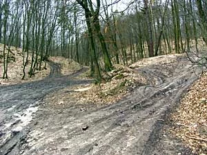 Dewastacja w okolicach Rąblowa, fot. Krzysztof Wawer