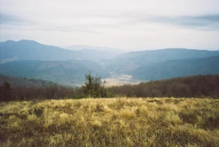 Małe Jasło, Bieszczady. Fot. Grzegorz Bożek
