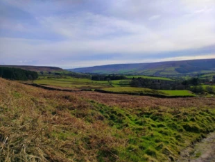 Rozległe łąki wiosennej doliny, gdzie w oddali majaczą zielone pastwiska i łagodne wzgórza. Ten krajobraz niesie obietnicę odradzającego się życia i przypomina nam, że istniejemy w nieustannym dialogu z przyrodą, w którym każda istota i każdy element pejzażu ma swój głos, Park Narodowy North York Moors, Anglia. Fot. Piotr Biegasiewicz 