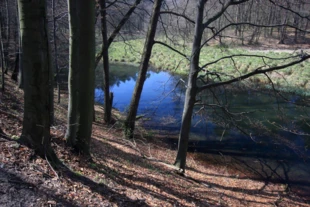 Rezerwat przyrody Parkowe,Wiercica, gmina Janów koło Olsztyna. Fot. Krzysztof Pierzgalski
