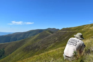 Połonina Borżawska – widok na masyw najwyższej góry, Stij (1681 m n.p.m.). Fot. Krzysztof Wojciechowski