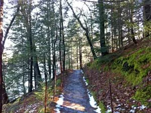 Ścieżka wokół stawu Walden. Fot. Anna Patejuk