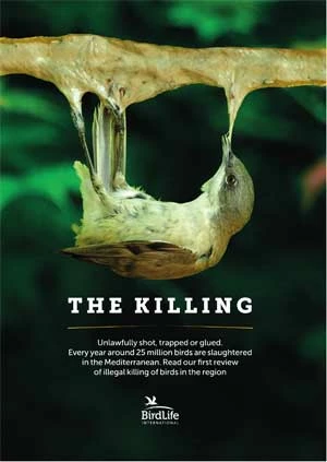 Raport „The Killing”