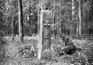 
Pozostałość cmentarza ewangelickiego niemieckiej wsi Czoło Fot. Janusz Korbel
