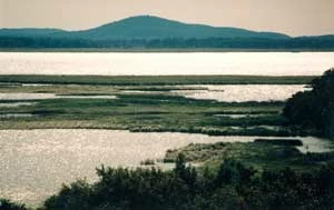 Jezioro Łebsko w Słowińskim PN. Fot. Ryszard Kulik