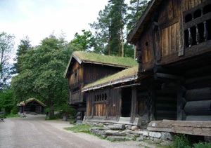 Fot. Eliza Szafert