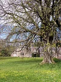 Fot. Z archiwum Schumacher College