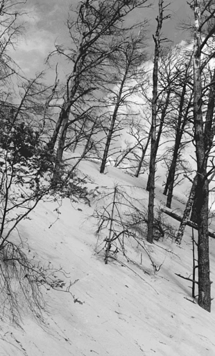 
Ruchome wydmy w Słowińskim Parku Narodowym. Fot. Konrad Malec
