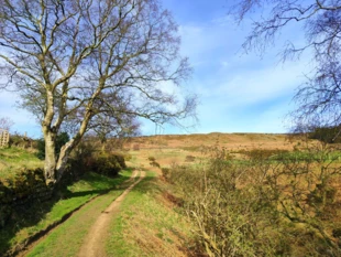 Polna ścieżka wyłania się spośród przebudzonych drzew i zarośli. Ta droga zdaje się prowadzić do odkrycia ukrytej więzi między człowiekiem a naturą – subtelnego, lecz nieprzerwanego nurtu współistnienia, który wprowadza nas w rytm wiosennej odnowy, North Yorkshire Dales, Anglia. Fot. Piotr Biegasiewicz