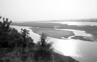 Wisła koło Kazimierza. Fot. Ryszard Kulik