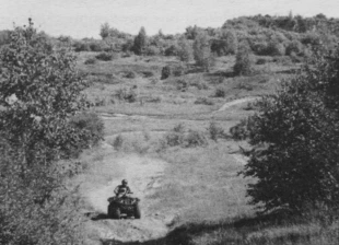 Quady na Górce Kostrzewskiej. Fot. Mariusz Waszkiewicz