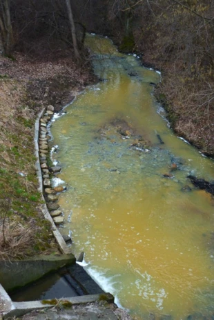 Skażona rzeka Dąbrówka opływająca wschodnią granicę obszaru Natura 2000 „Ostoja Wierzejska”. Prokuratura w Kielcach mimo dostarczonych materiałów nie dopatrzyła się znamion przestępstwa. Fot. Łukasz Misiuna