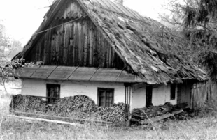 Fot. Dariusz Matusiak