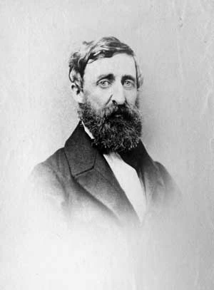Henry David Thoreau, ambrotyp, 1861. Z Lewis C. Dawes Collection z Instytutu Thoreau przy Walden Woods