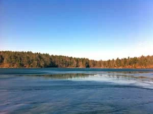 Widok w kierunku północnym, w stronę zatoczki Thoreau’s Cove, staw Walden. Fot. Anna Patejuk