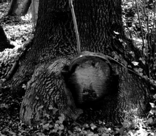 Fot. Jacek Zachara