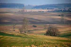 Krajobrazy Skierbieszowskiego Parku Krajobrazowego. Fot. Rafał Jasiński