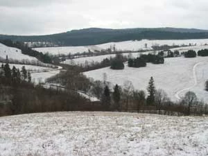 
Panorama Żernicy spod ambony, nieopodal której oskórowano skłusowanego wilka
