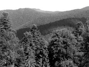 Gorczański Park Narodowy. Fot. Kaj Romeyko-Hurko