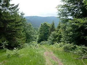 Beskidy. Fot. Effervescing Elephant, flickr.com