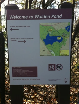 Tablica informacyjna przy stawie Walden obok wejścia na główną plażę. Fot. Anna Patejuk