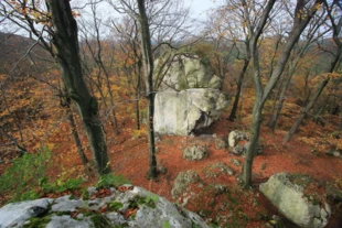 Rezerwat przyrody Sokole Góry, gmina Olsztyn koło Częstochowy. Fot. Krzysztof Pierzgalski