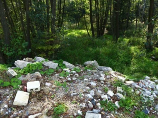 Zasypywanie koryta rzeki Dąbrówki i jej terasy zalewowej przy wschodniej granicy obszaru Natura 2000. RDOŚ w Kielcach mimo dostarczonej dokumentacji nie dopatrzył się nieprawidłowości i szkody w środowisku. Fot. Łukasz Misiuna