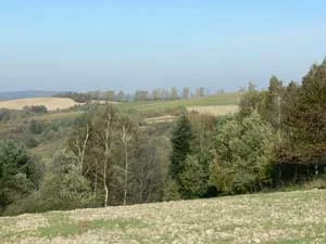 Fot. Przemysław Kunysz