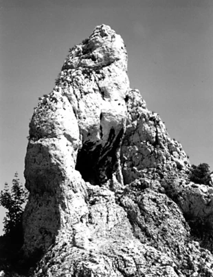 Jurajski ostaniec. Fot. Janusz Rubisz