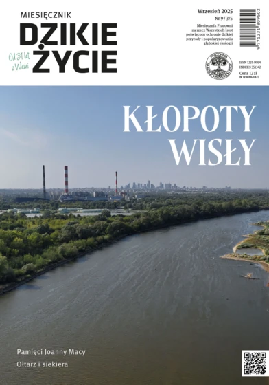 2025-09_okl-dz_1000