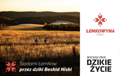 LUT-2025-1200x800