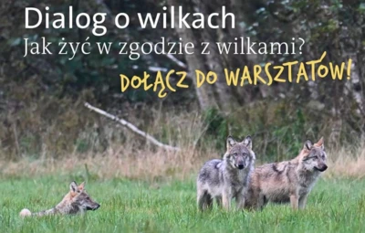 Dialog-o-wilkach-warsztaty-2025-kadr
