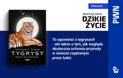 Tygrysy-miedzy-mocarstwami-Jonathan-Slaght-1200x800