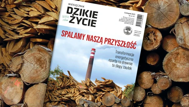 2025-11-www-dz_1200x800