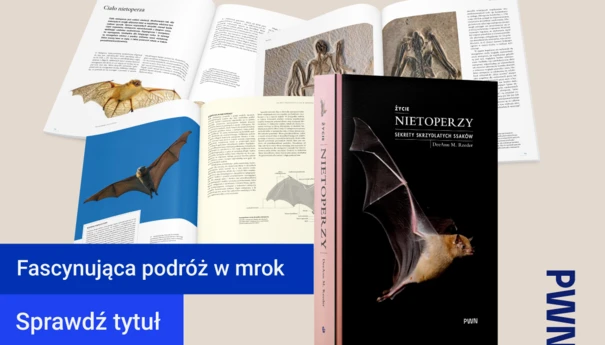 Zycie-nietoperzy-DeeAnn-Reeder-1200x800