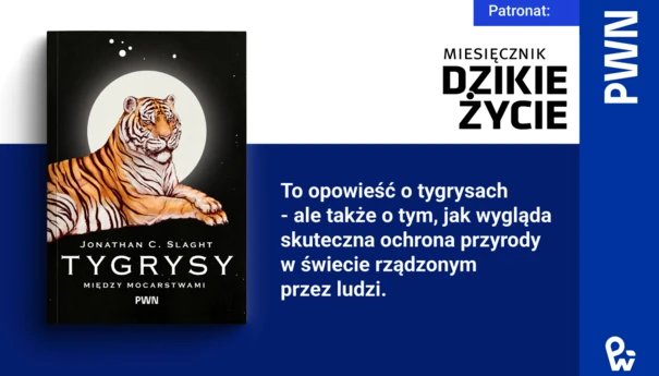 Tygrysy-miedzy-mocarstwami-Jonathan-Slaght-1200x800
