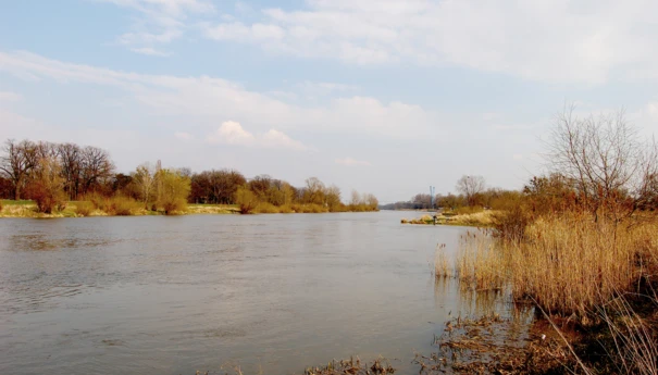 rzeka-Odra