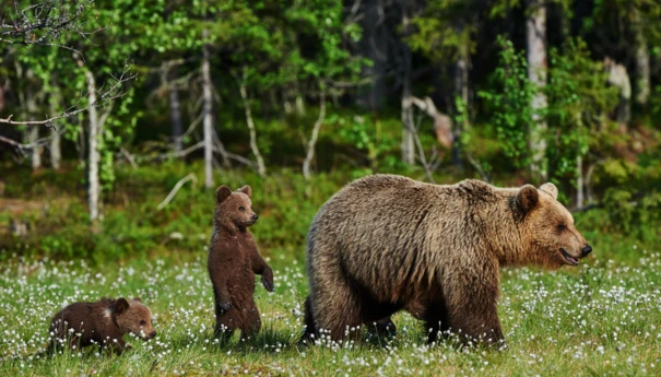 Fotolia_87319963_Subscription_Monthly_M