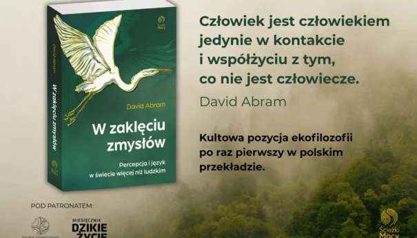 David-Abram-W-zakleciu-zmyslow-1200x800