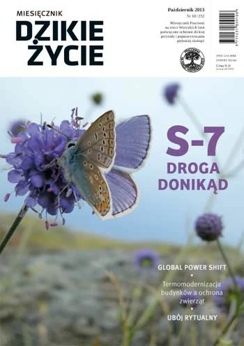 dzikie-zycie-pazdziernik-2013-okladka.jpg