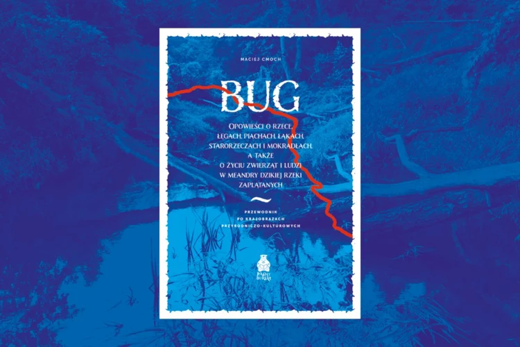 Maciej-Cmoch-Bug-1200x800