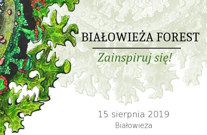 bialowieza-forest-zainspiruj-sie