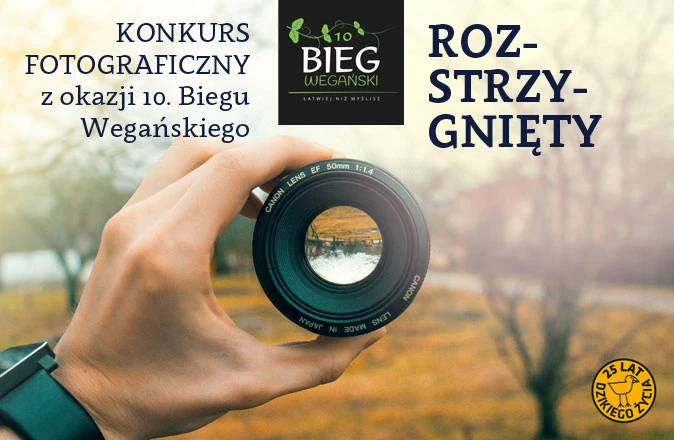 konkurs-bieg-weganski-rozstrzygniecie