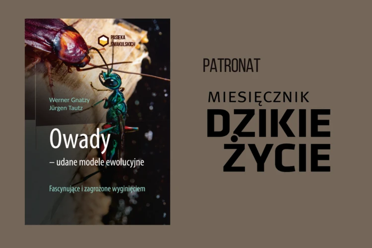 Owady-Gnatzy-Tautz-1200x800