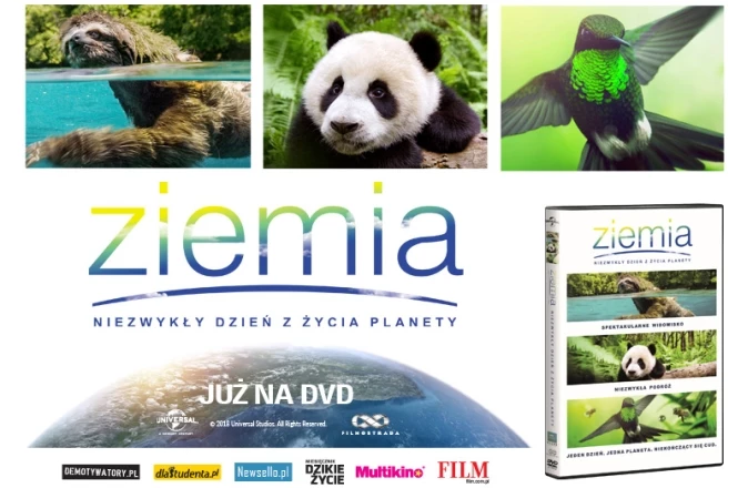 ziemia film